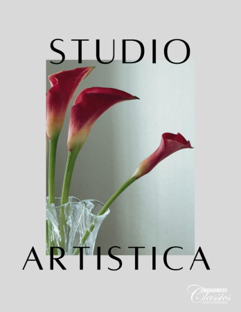 STUDIO ARTISTICA (2) Studio Artistica