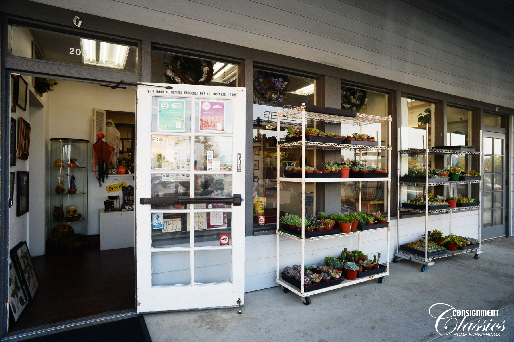 encinitas-decor-store_20260924_0083.jpg